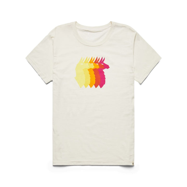 Cotopaxi Organic T-Shirt