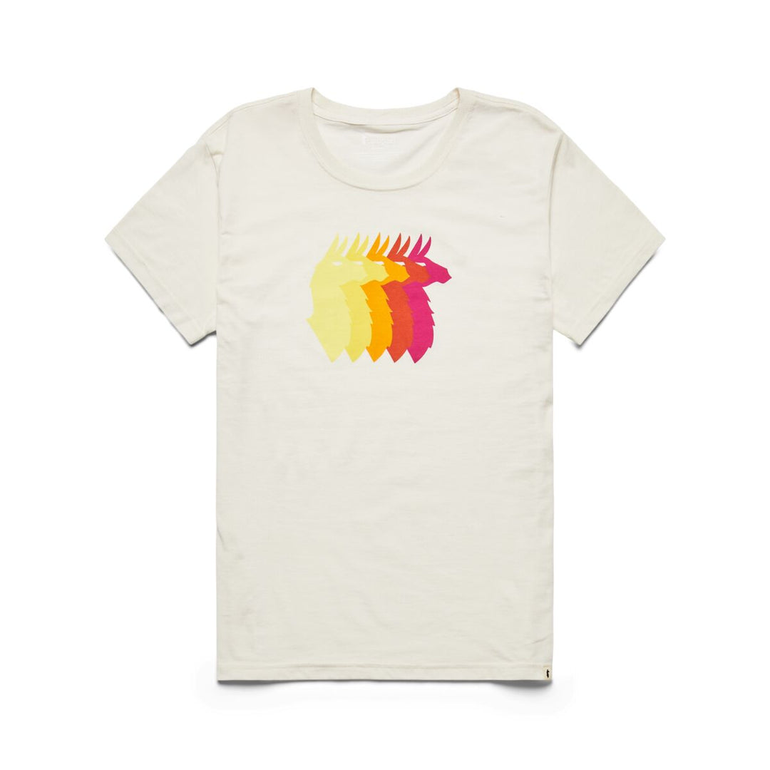 Cotopaxi Organic T-Shirt