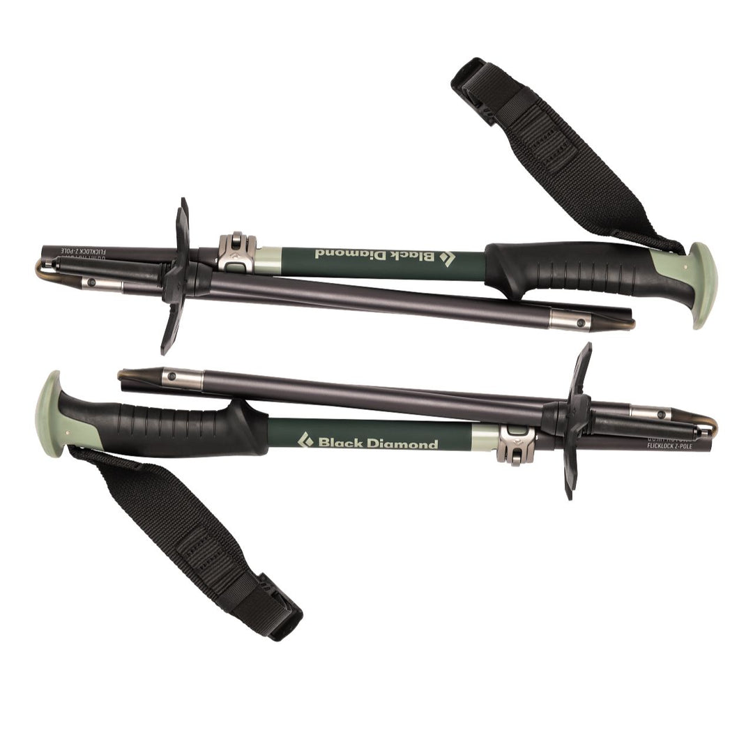 Black Diamond Compactor Ski Poles
