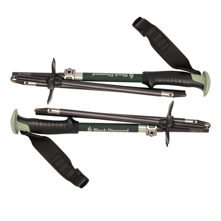 Black Diamond Compactor Ski Poles