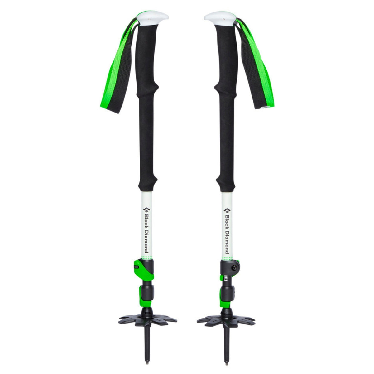 Expedition 3 Ski Poles